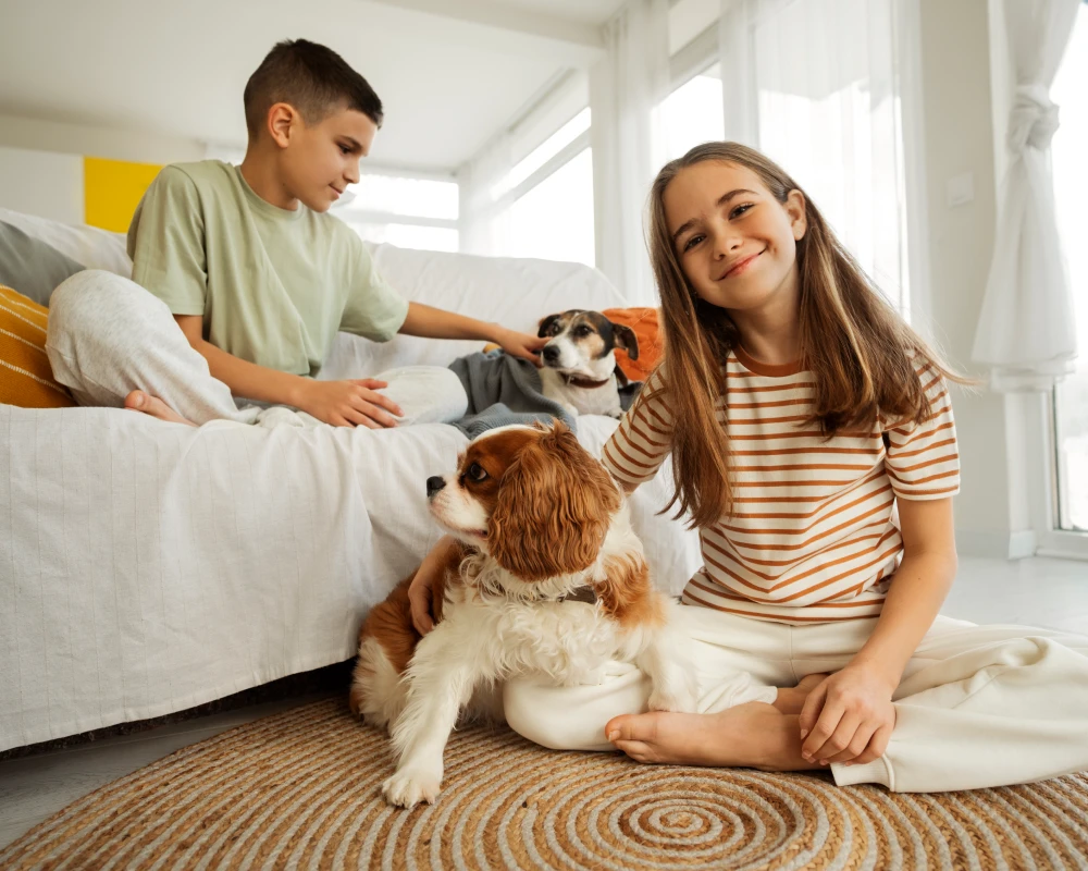 automatic pet food dispenser